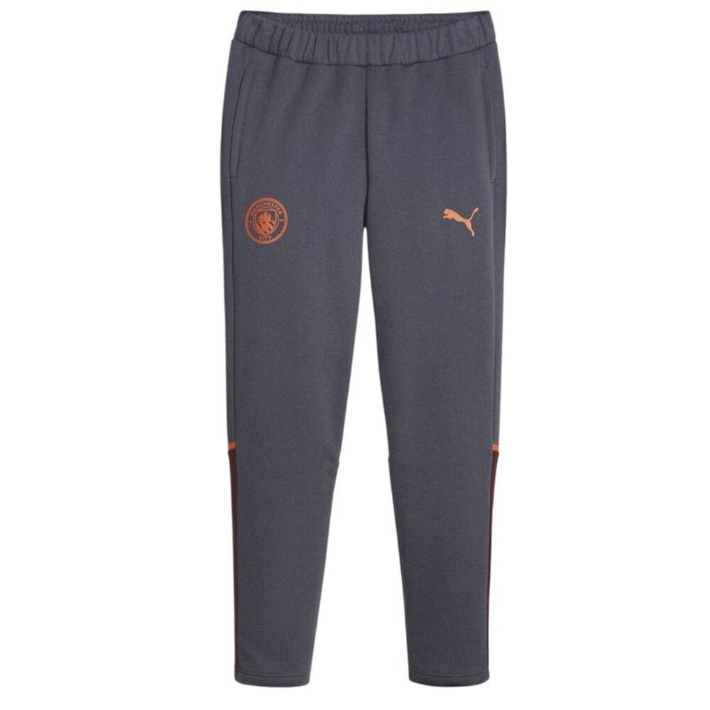Puma Mens Casuals Manchester City FC Tracksuit Bottoms / Gray